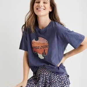 Aerie After Dusk Desert Sunset Graphic Distressed Boyfriend Tee Size Large